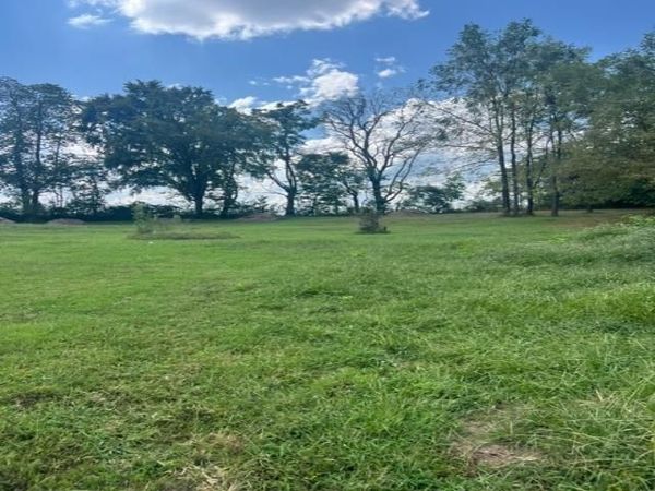 706 S 7th Street , Scottsville, KY 42164