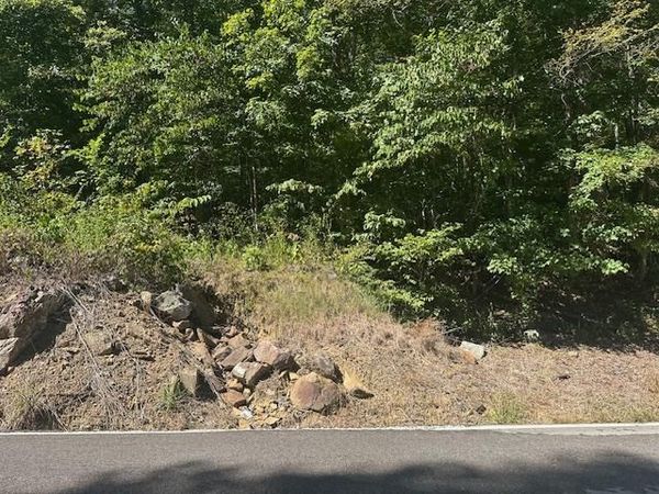 LOT 364A 6360 Wilder Hwy, Wilder, TN 38589