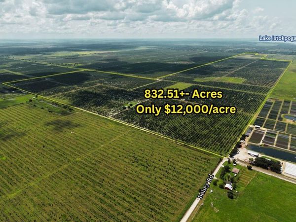 17515 BONEY Road, Sebring, FL 33870