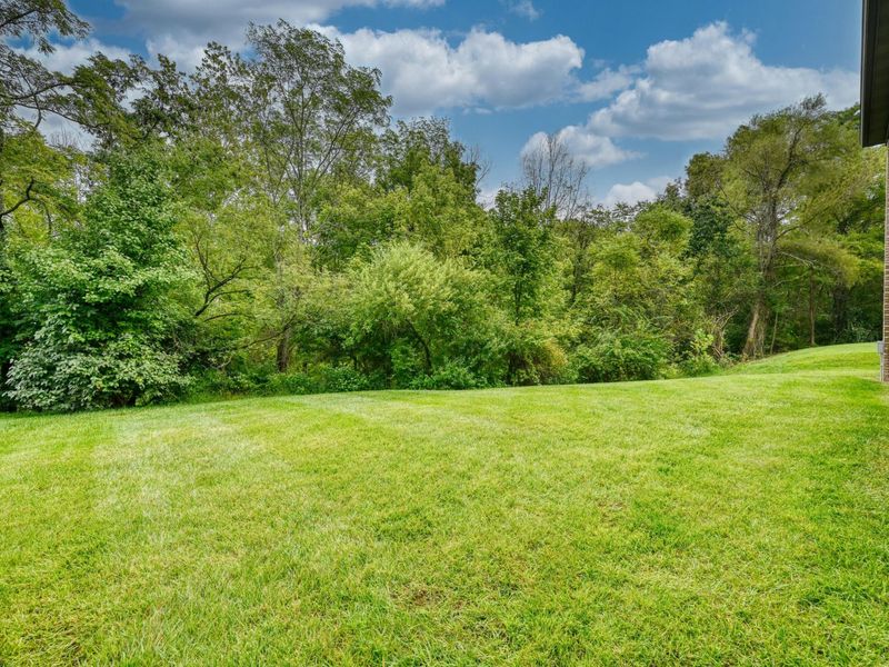 10569 Pimlico Park Drive, Union, KY 41091 Photo 3