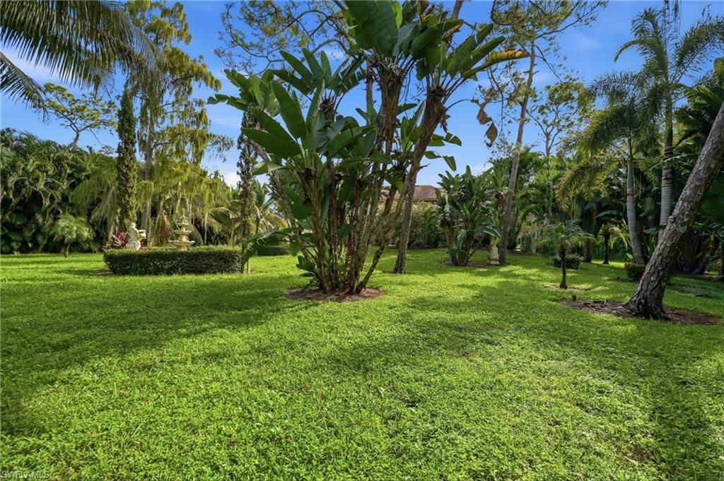 13055 White Violet Dr , Naples, FL 34119 Photo