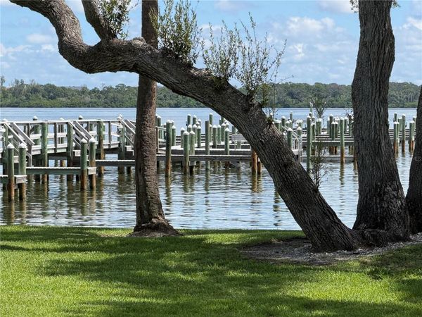 SARASOTA, FL 34242