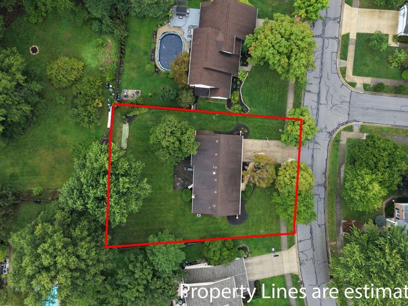 312 Tallowwood Drive, Westerville, OH 43081 Photo 46