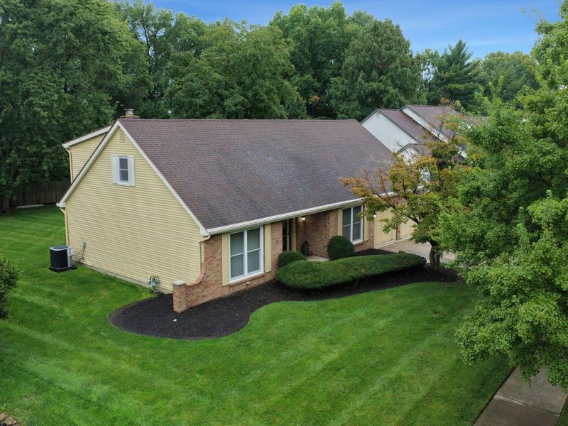 312 Tallowwood Drive, Westerville, OH 43081 Photo 49