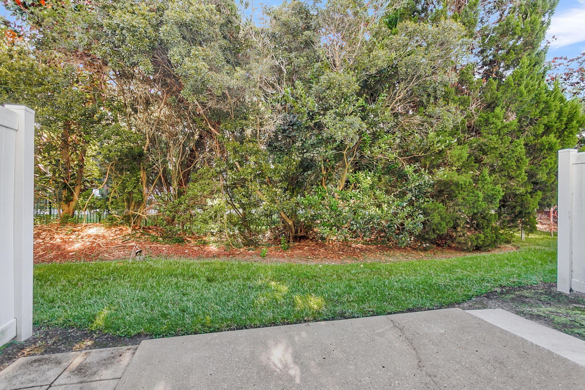 907 Hemingway Circle Photo 23