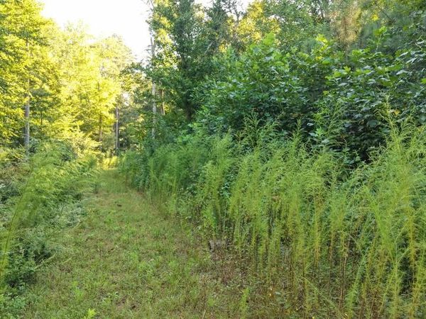 Parcel 3 LEGION ROAD, DENTON, MD 21629