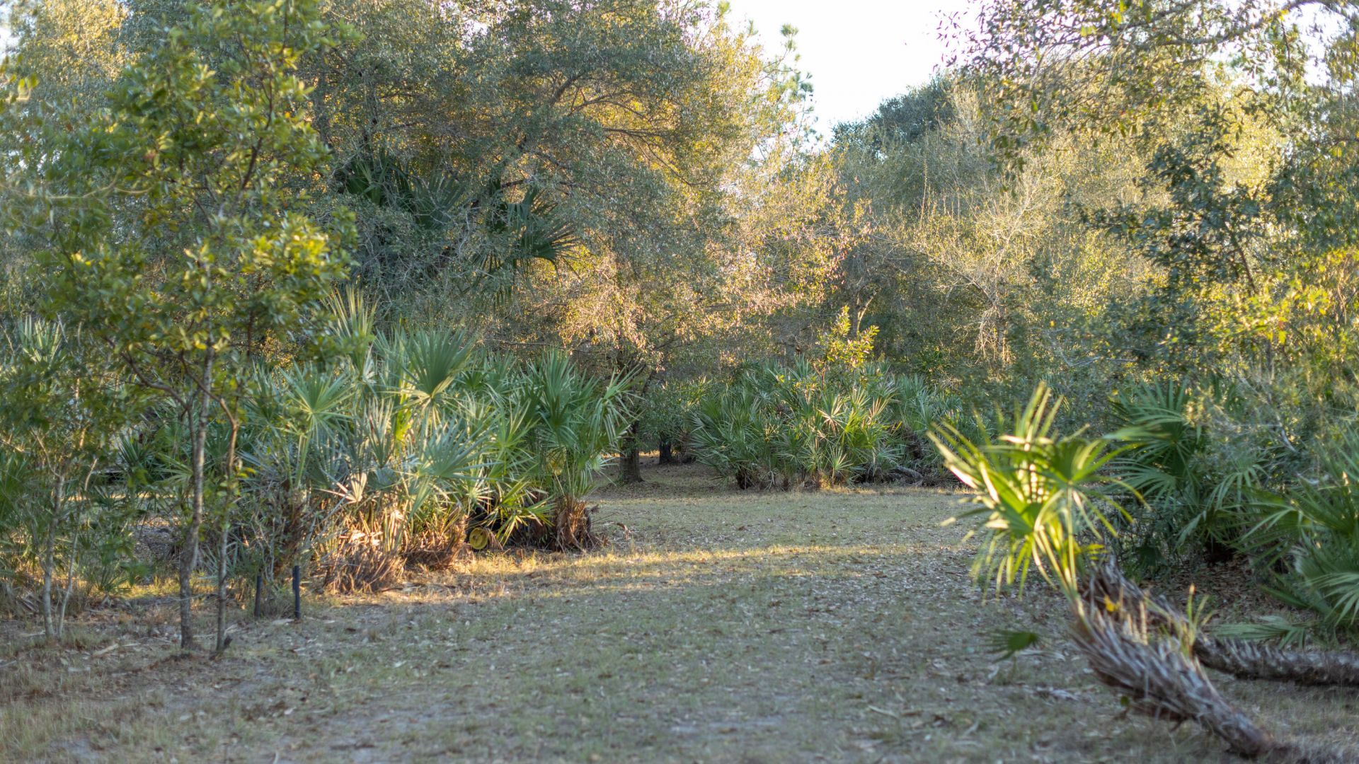 32801 Us Highway 441 N, Unit 250, Okeechobee, FL 34972 Photo