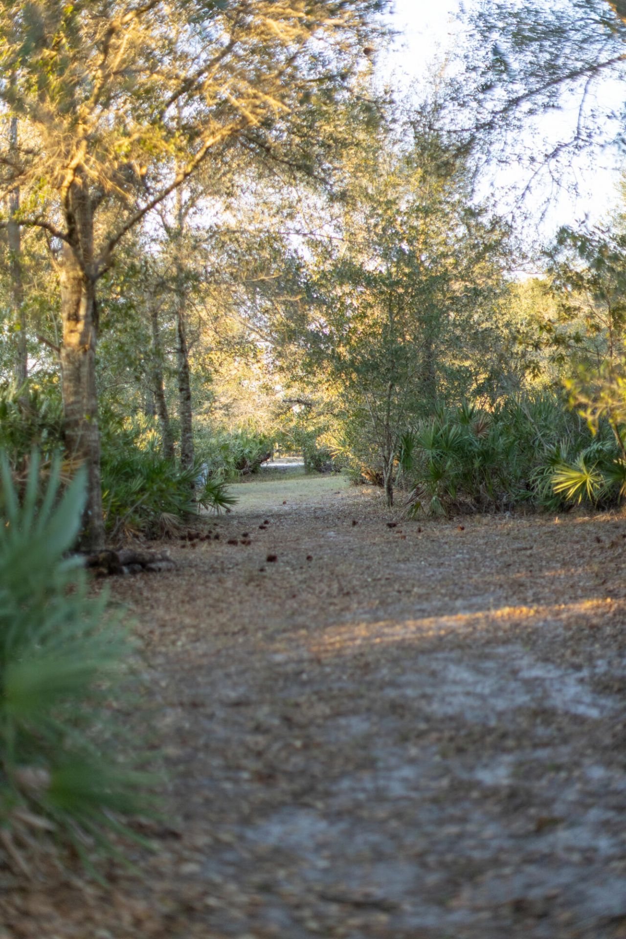 32801 Us Highway 441 N, Unit 250, Okeechobee, FL 34972 Photo