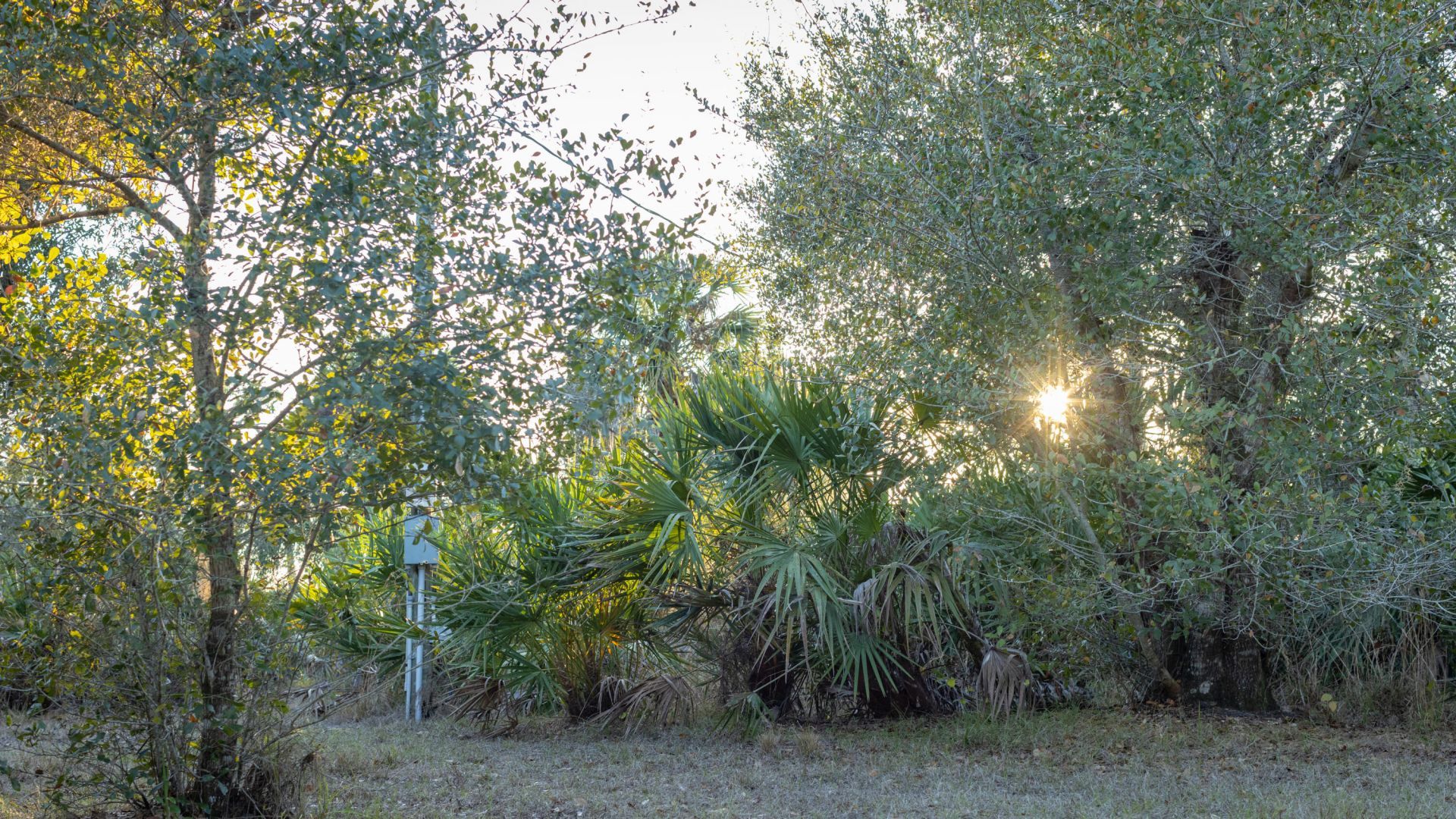 32801 Us Highway 441 N, Unit 250, Okeechobee, FL 34972 Photo