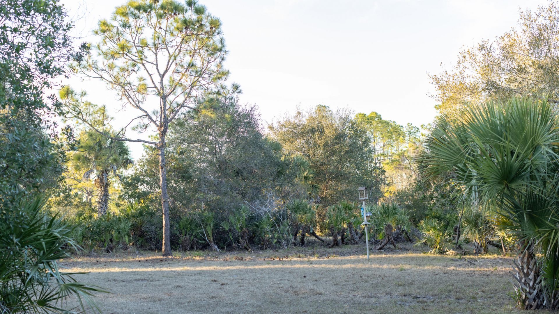 32801 Us Highway 441 N, Unit 250, Okeechobee, FL 34972 Photo