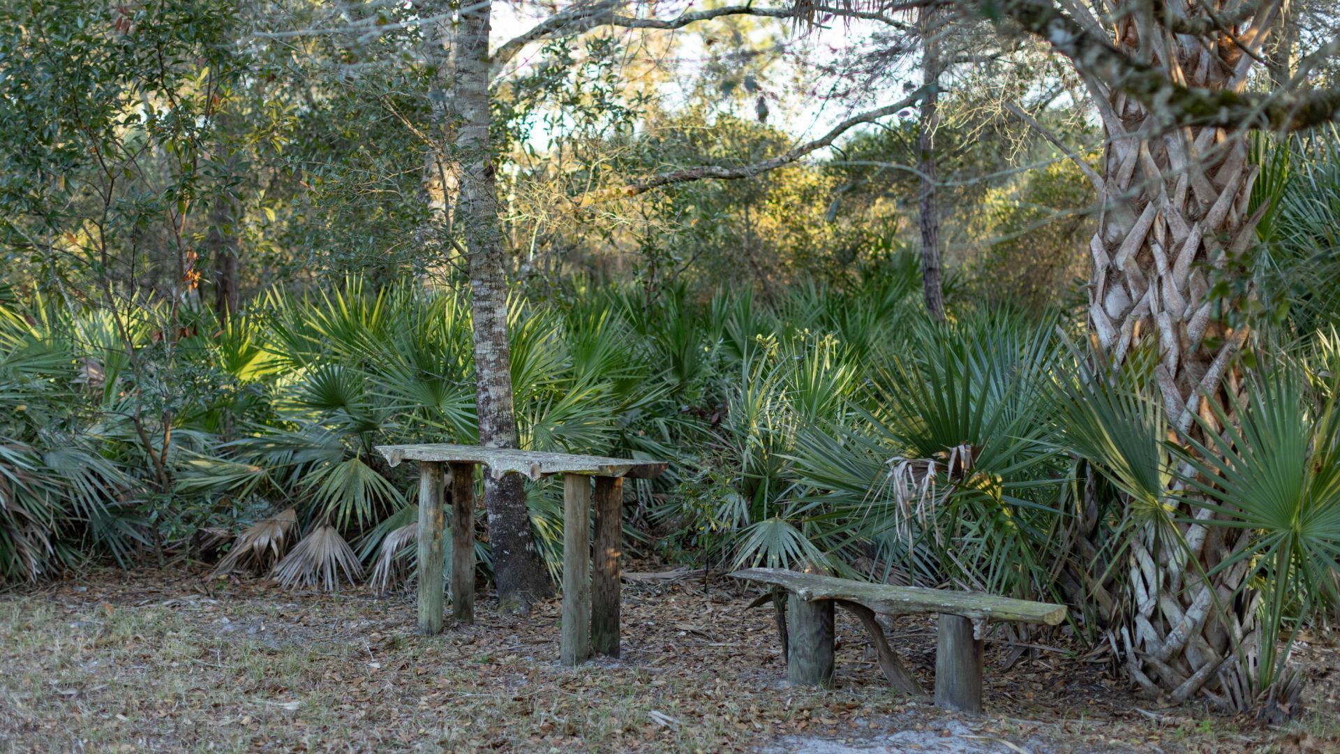 32801 Us Highway 441 N, Unit 250, Okeechobee, FL 34972 Photo