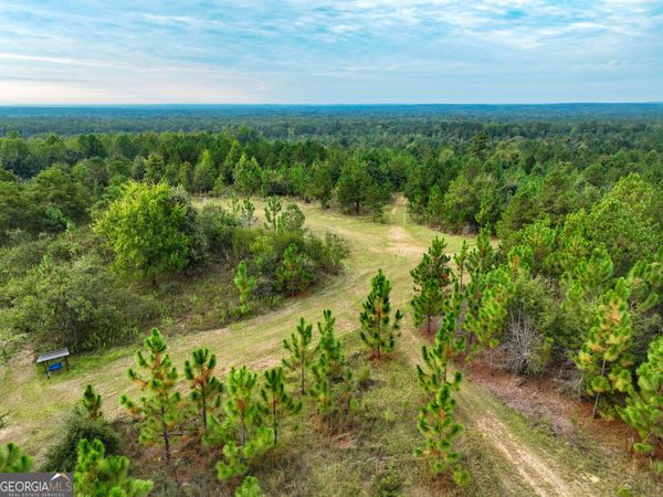 V/L Butler Road, Milledgeville, GA 31061