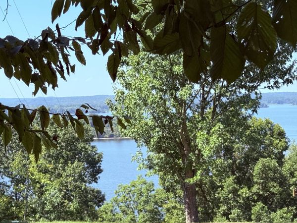 510 Big Richland Dr , Unit 4, Waverly, TN 37185