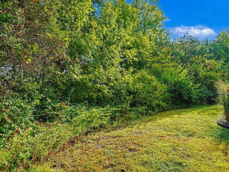 1186 Periwinkle Drive, Florence, KY 41042 Photo 9