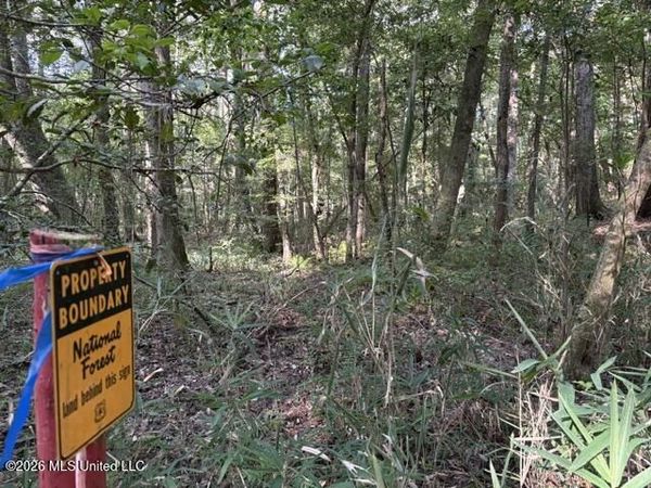 Smith County Road 581, Raleigh, MS 39153