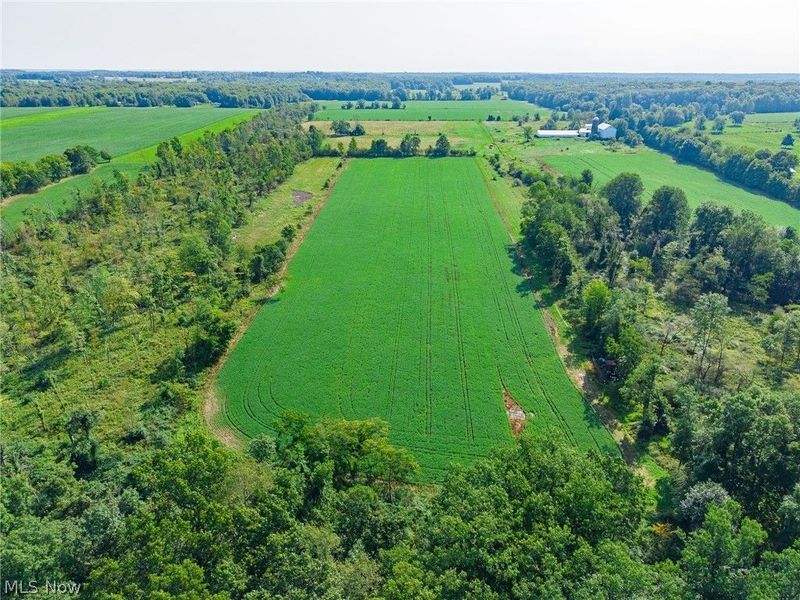 7785 Jewell Greenville Road, Kinsman, OH 44428 Photo 10