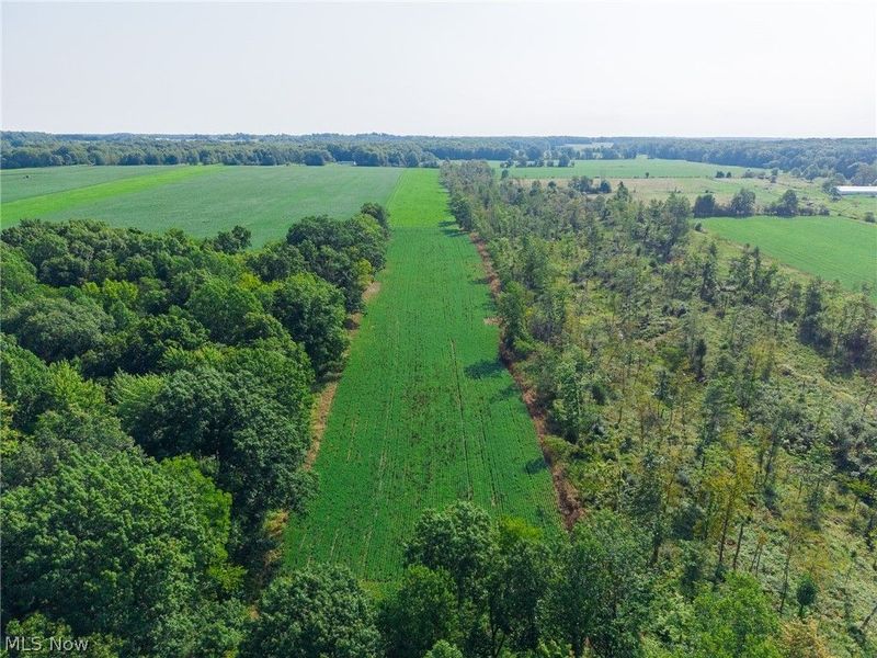 7785 Jewell Greenville Road, Kinsman, OH 44428 Photo 12