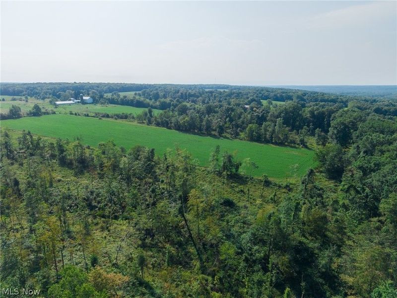 7785 Jewell Greenville Road, Kinsman, OH 44428 Photo 13
