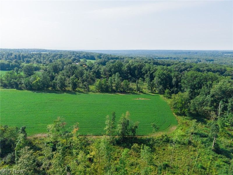 7785 Jewell Greenville Road, Kinsman, OH 44428 Photo 14