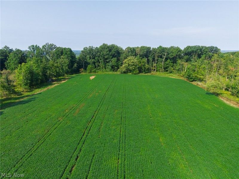 7785 Jewell Greenville Road, Kinsman, OH 44428 Photo 15