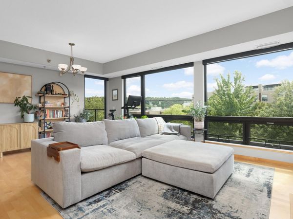 284 Spring Street, Unit 307, Saint Paul, MN 55102