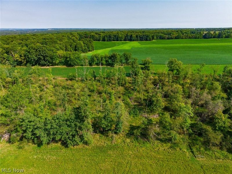 7785 Jewell Greenville Road, Kinsman, OH 44428 Photo 3