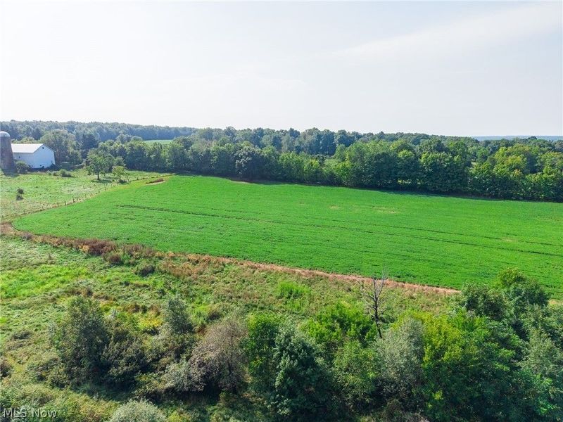 7785 Jewell Greenville Road, Kinsman, OH 44428 Photo 5