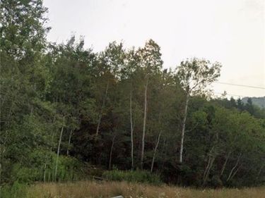 East , Avoca, NY 14809
