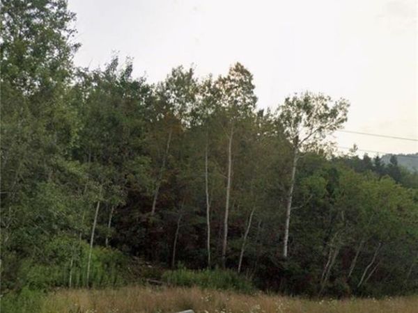 East , Avoca, NY 14809