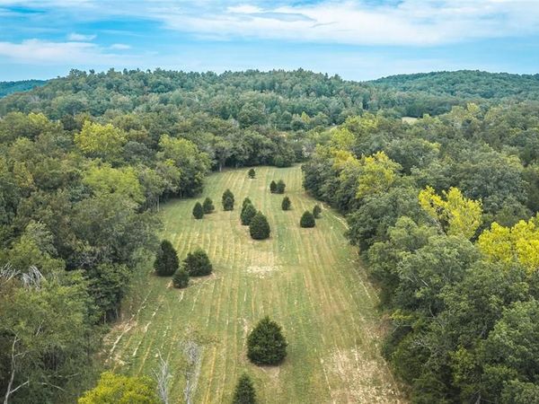 0 County Road 342 Tract 4 , Lesterville, MO 63654