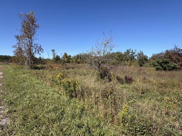 N Straits Highway, Cheboygan, MI 49721