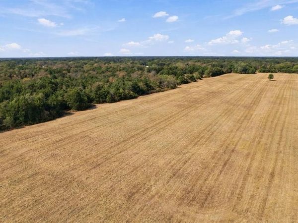 YBD Farm Road 273 , Ivanhoe, TX 75447