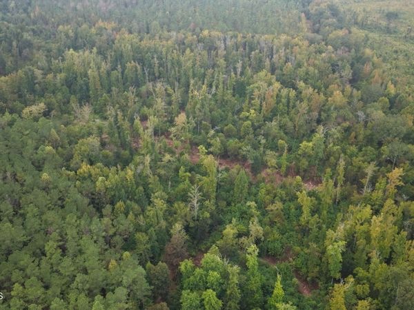 Maben-Bell Schoolhouse Road, Pheba, MS 39755