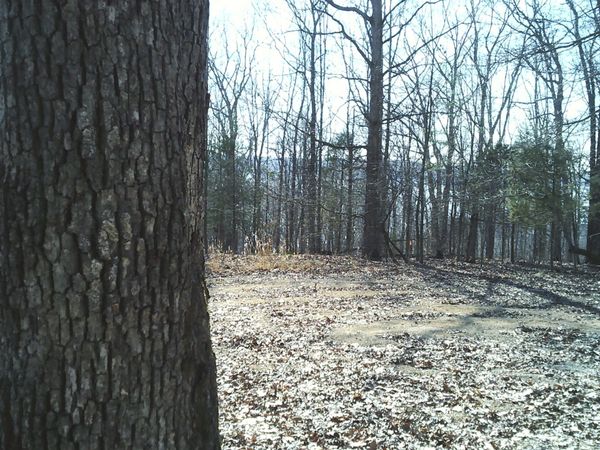 0 Eaglet Ct , Unit 213, Dover, TN 37058
