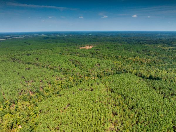 179 Wr Klippel Rd , Hohenwald, TN 38462