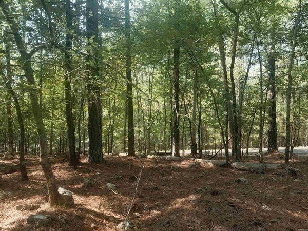 19 Celeste Lane , Hot Springs Village, AR 72122