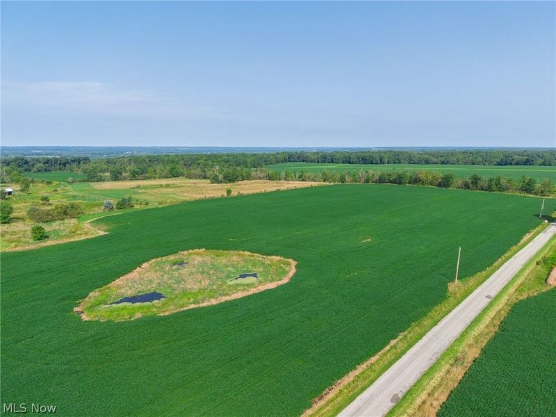7785 Jewell Greenville Road, Kinsman, OH 44428 Photo 12