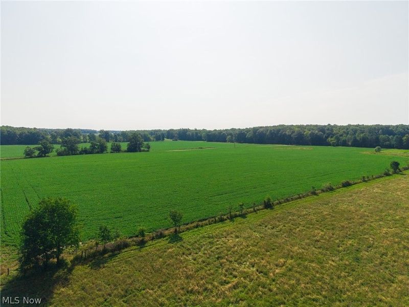 7785 Jewell Greenville Road, Kinsman, OH 44428 Photo 16