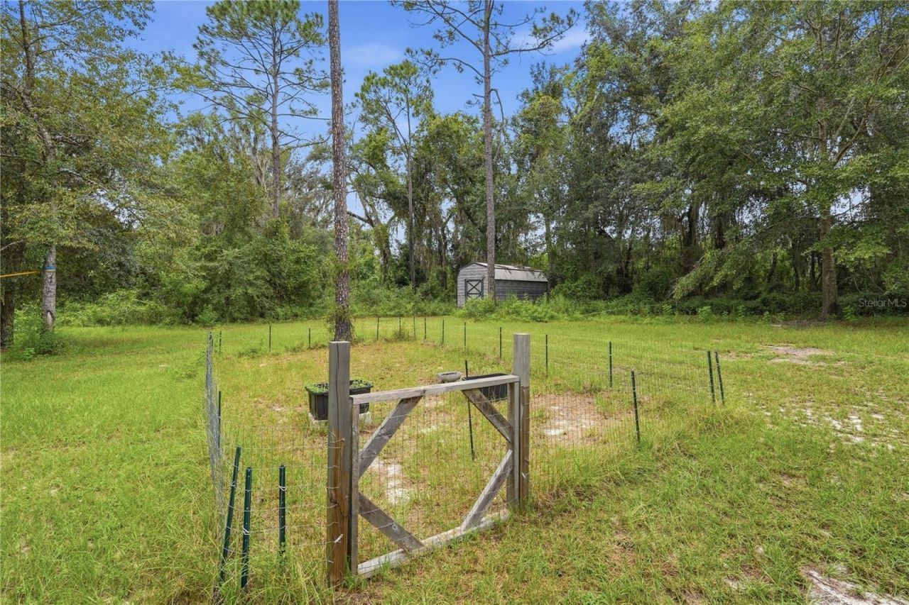 5685 SW 57th Drive, Lake Butler, FL 32054 Photo