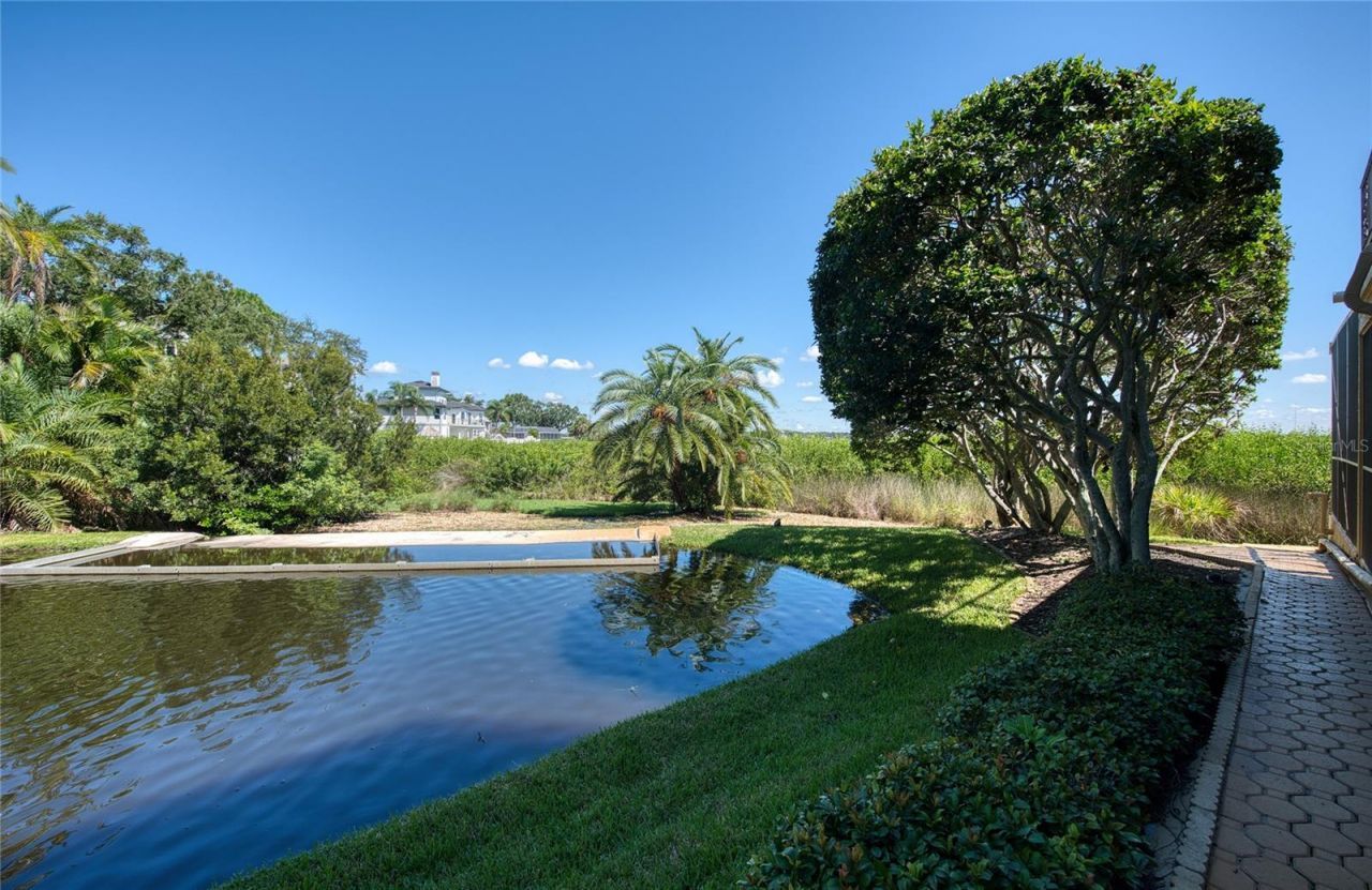 103 Royal Court, Safety Harbor, FL 34695 Photo