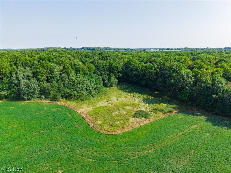 7785 Jewell Greenville Road, Kinsman, OH 44428 Photo 10