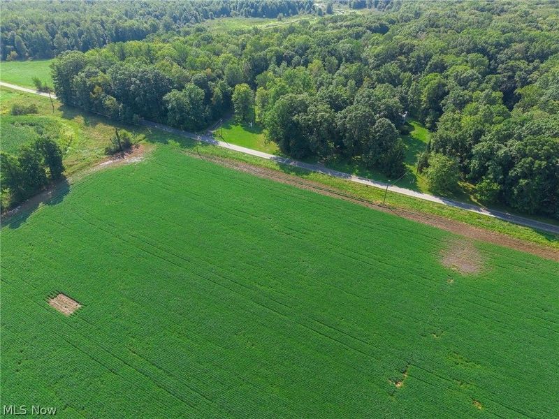 7785 Jewell Greenville Road, Kinsman, OH 44428 Photo 17