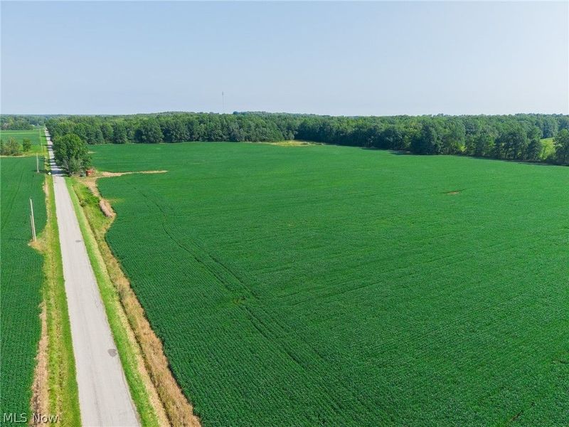 7785 Jewell Greenville Road, Kinsman, OH 44428 Photo 18