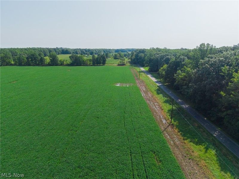 7785 Jewell Greenville Road, Kinsman, OH 44428 Photo 19