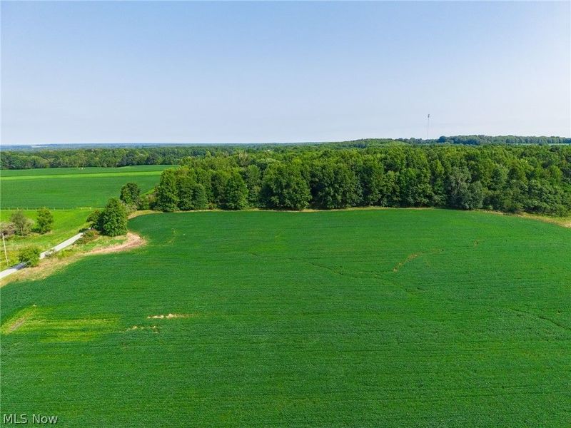 7785 Jewell Greenville Road, Kinsman, OH 44428 Photo 7