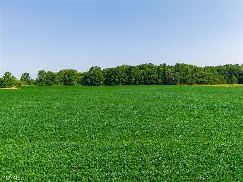 7785 Jewell Greenville Road, Kinsman, OH 44428 Photo 8