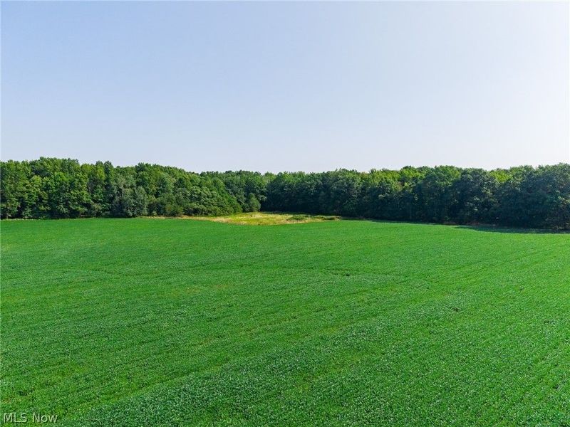 7785 Jewell Greenville Road, Kinsman, OH 44428 Photo 9