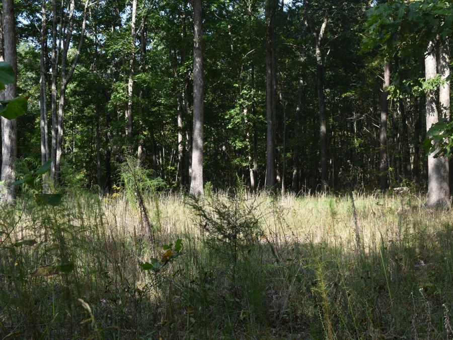 Property Image 53