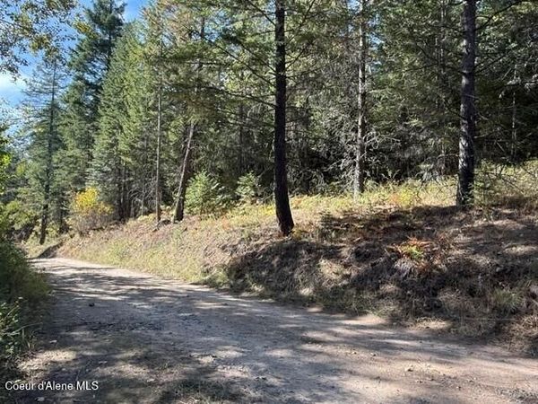 Gold Cup Mountain Rd, Priest River, ID 83856