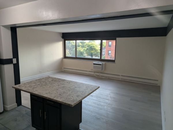 7337 S South Shore Drive , Unit 430, Chicago, IL 60649